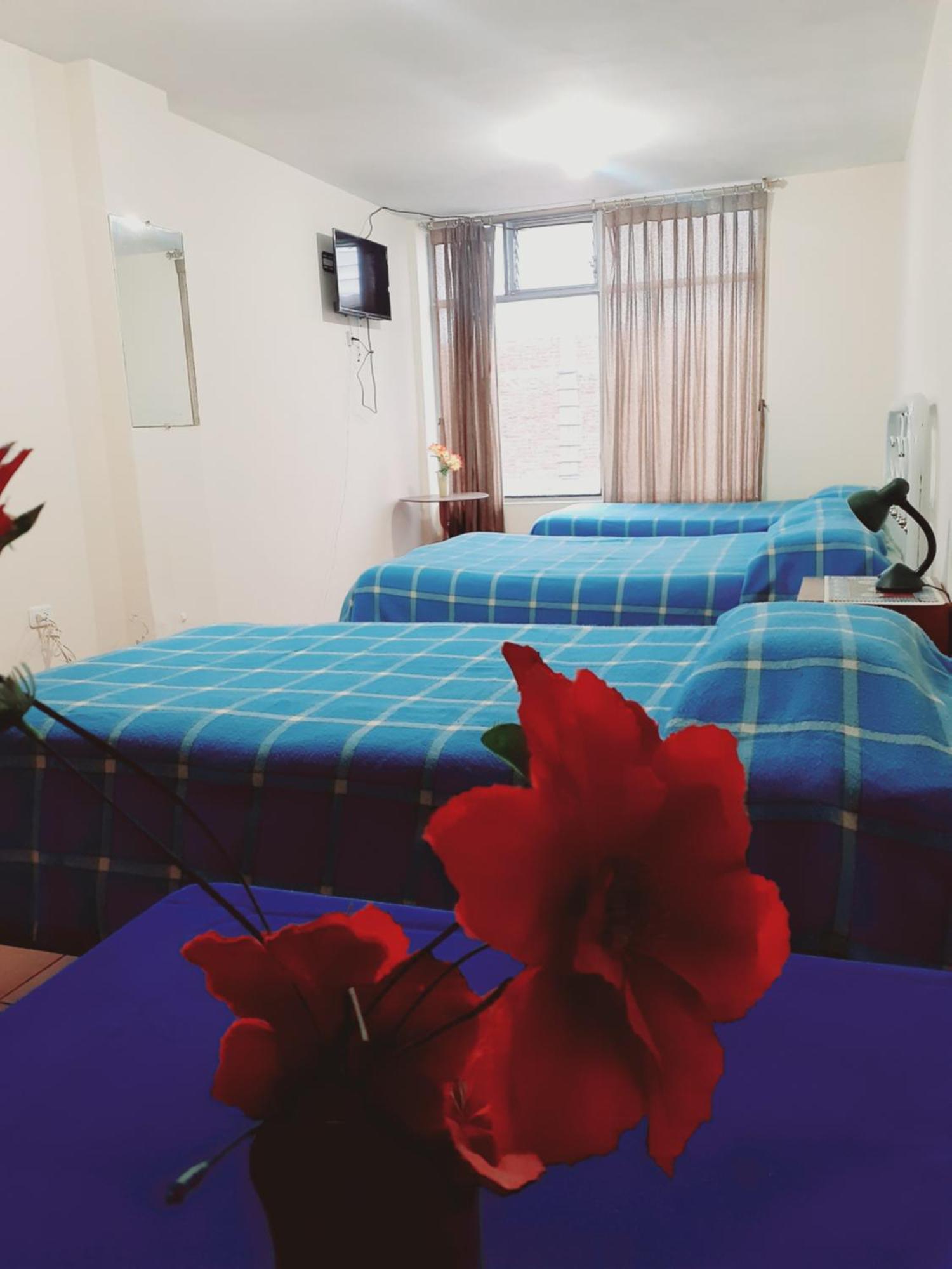 Hotel Central 旅馆 *